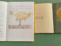 Albi illustrati, biografie e scrittura di sé
